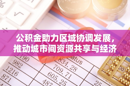 自贡公积金助力区域协调发展，推动城市间资源共享与经济均衡发展