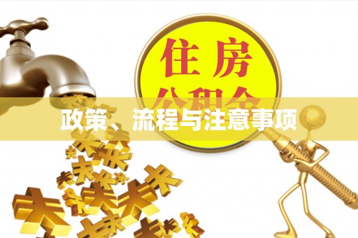 自贡政策、流程与注意事项